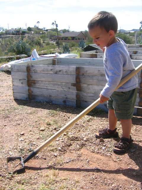 Box gardening is a fun, family-friendly activity and a great way for parents to spend time with kids. Box gardens can be successful in even dry, hot, desert climates!