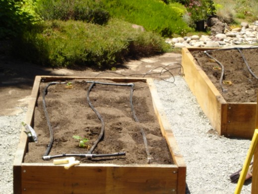 The irrigation system.