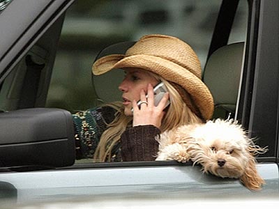 Pictures like this one - of celebrity Jessica Simpson with her adorable doggie on her lap - while cruising in her cool car - are what is making this practice so popular today...