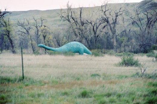 EXAMPLE OF WILDLIFE IN THE BADLANDS
