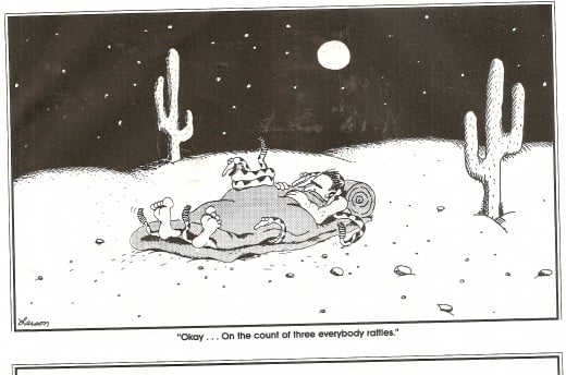 Courtesy of Gary Larson's The Far Side.