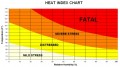 How to Prevent Heat Stress at Work