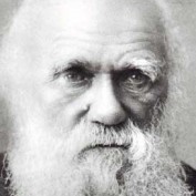 genejockie profile image