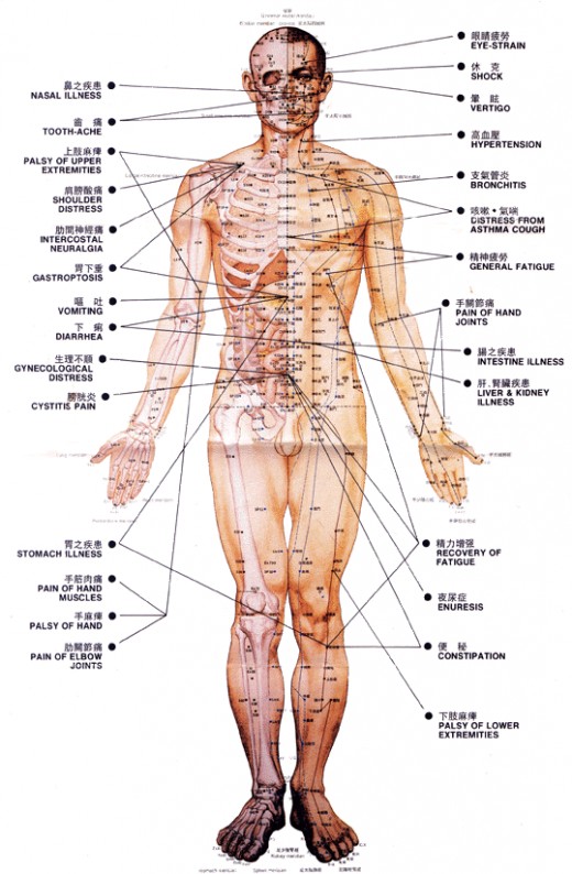 12 meridians in the body and acupuncture points