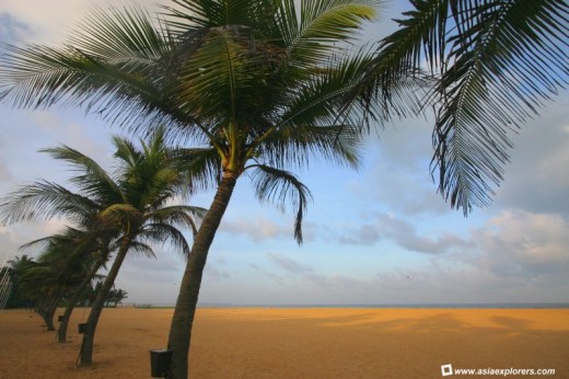 Negombo coast line is full of beautiful beaches