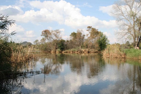 Where water reflects the beauty of the sky and the surrounding trees.