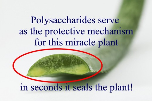 A substance in the form of a thick gelatinous coating!