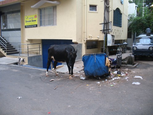 There are Corporators duly elected from the slums of Bangalore so they need to keep all filth and Garbage every where to make the city SLUM FRIENDLY those who live around this filth cannot do anything but close their nose with hand kerchief and walk 