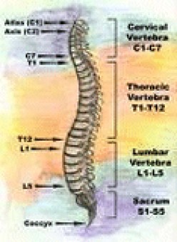 Is Chiropractic Care and Treatment for Everyone