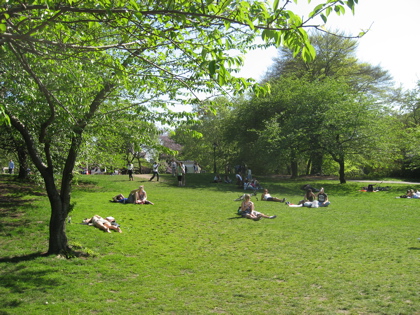 Summer fashion in action: Sunbathers in Central Park / Photo by E. A. Wright