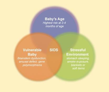 http://www.firstcandle.org/grieving-families/sids-suid/about-sids-suid/sids-suid-faq/