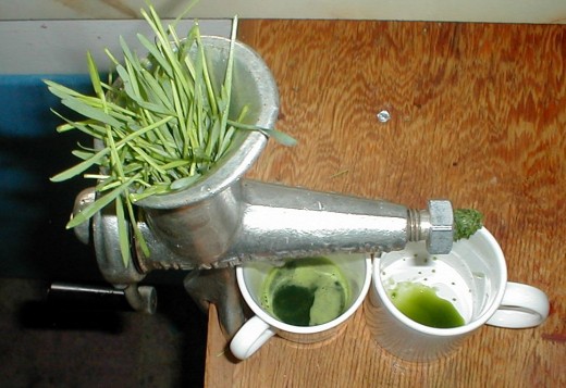 This is a file from the Wikimedia Commons. Wheatgrass Juicer 