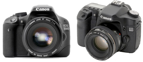 Canon Rebel T2i vs Canon EOS 50D