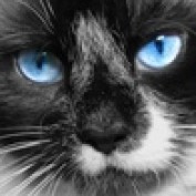 hbair profile image