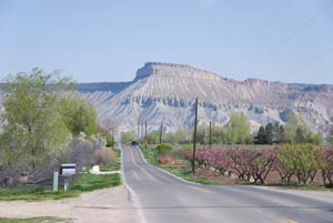 Country roads are great for walking, biking, or quiet drives.