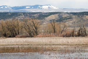 Fruit Grower's Reservoir Bird Sanctuary near Eckert, Colorado. Sandhill Cranes stop here during their migrations.