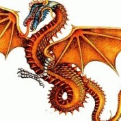 Dragon Fire profile image