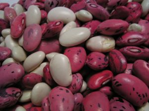 Beans are some of the best fiber rich foods.