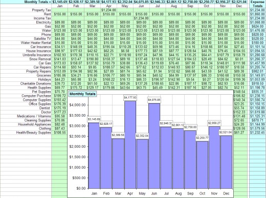 Your Expenses Tracking  Expense Report  and Free Expense Tracking Software Using Excel. Credit: Peter Ponzo of Gummy Stuff. Click on the Image to Magnify.