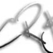 crjames profile image