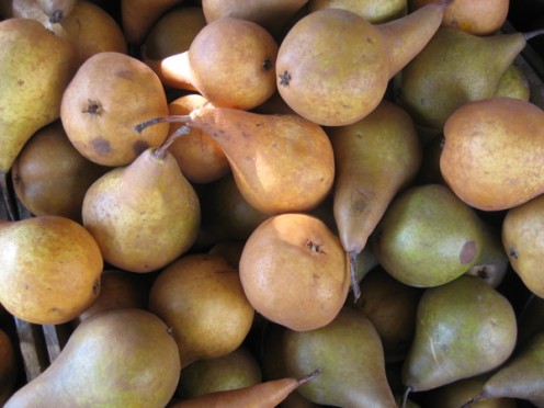 Pears / Photo by E. A. Wright