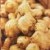 FRESH GINGER FRESH GINGER