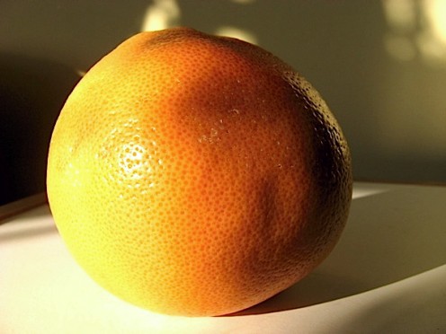 Whole grapefruit / Photo by E. A. Wright