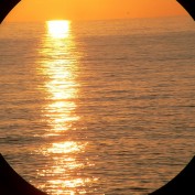 AJ Adams profile image