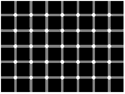 Illusion - counting the black dots