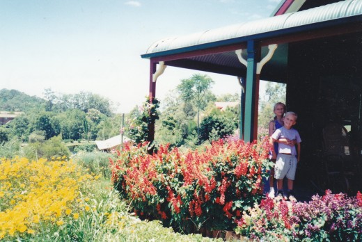 How often do we really stop to smell the roses?