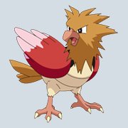 Spearow is a little bird pokemon.