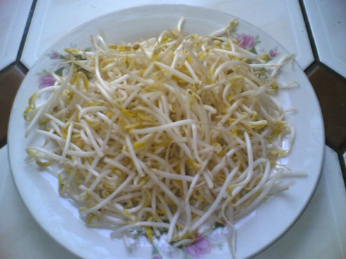 Bean Sprouts.