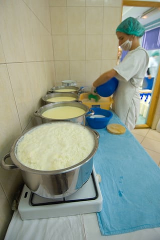 Milk being heated for making cheese.  Photo by Snyderdf at Dreamstime.com.