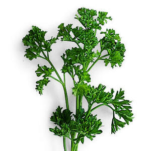 parsley