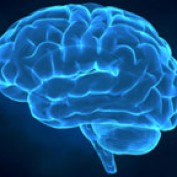 Brainy Maji profile image