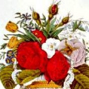 tai2 profile image