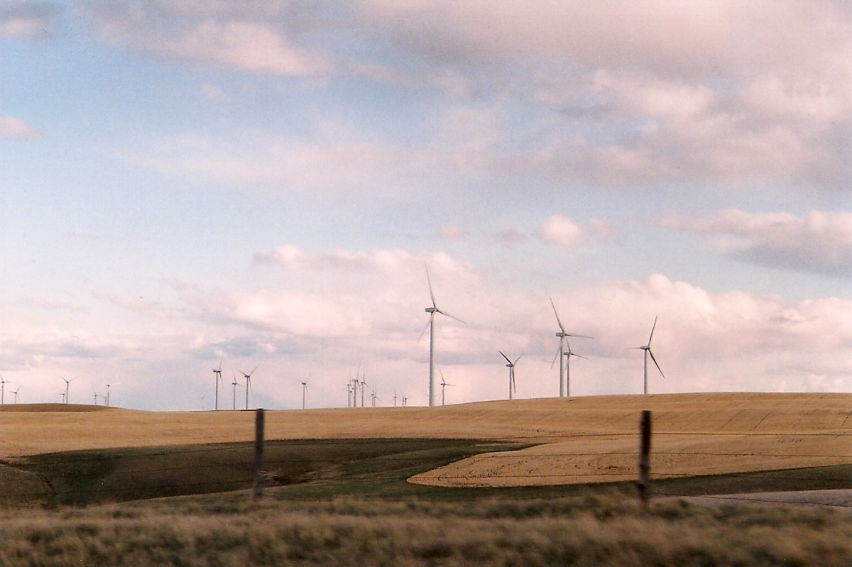 WINDMILLS GENERATE GREEN ELECTRICITY IN MONTANA