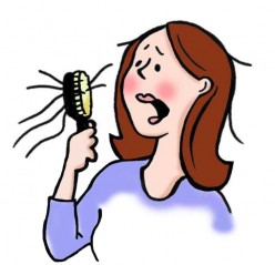 Some Tips and Tricks to Prevent Hair Loss