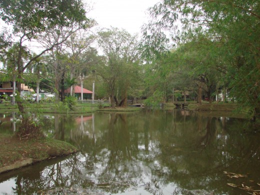 Wide open spaces and ponds in Cinnamon Lodge hotel