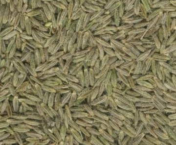 Cumin seeds pic