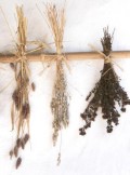 Tips and Measurements for Substituting Dried and Fresh Herbs in Recipes