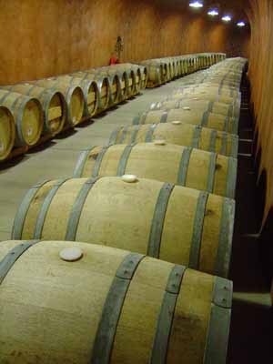 View the aging wines in the French oak barrels.