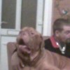 myboytyson profile image