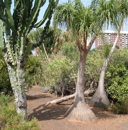 Another view of the gardens