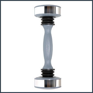 Revolutionary Shake Weight
