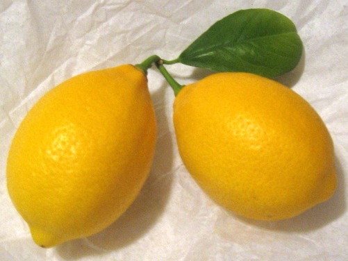 Meyer lemons / Photo by E. A. Wright