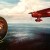 Amelia Earhardt - Explorer and Aviator