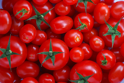 Ripe tomatoes ready for cooking