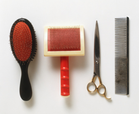 Various pet grooming supplies: Brushes, clippers and a metal tootled comb.
