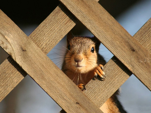 When you're cute as I am, you get privileges!